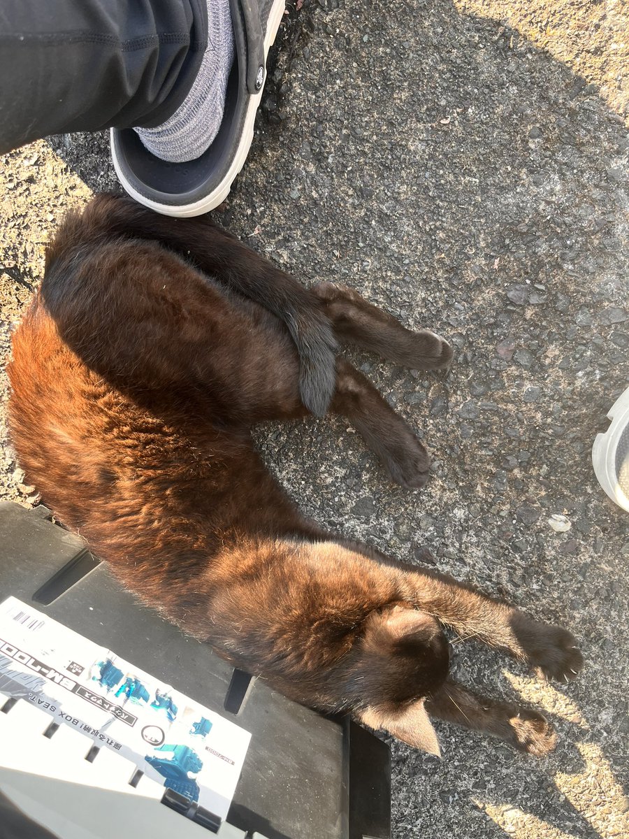 Y_Spla___'s tweet photo. 釣りしてるだけなんやけどなー
いびきかいて寝てるわ https://t.co/nySBUCmikM