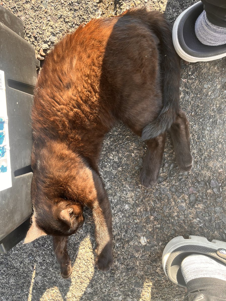 Y_Spla___'s tweet photo. 釣りしてるだけなんやけどなー
いびきかいて寝てるわ https://t.co/nySBUCmikM