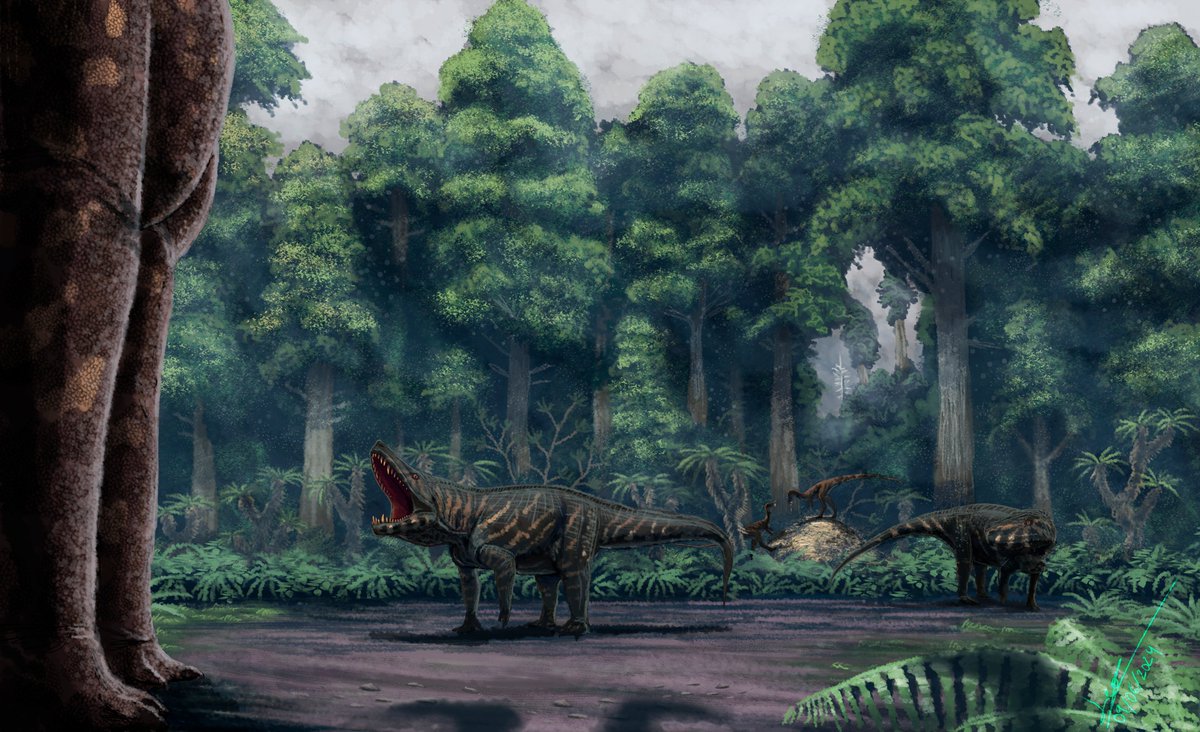 Leotrex444's tweet photo. Enemigos en la retaguardia | Enemies in the rearguard

Los Colorados formation 🇦🇷 

Lessemsaurus sauropoides
Fasolasuchus tenax
Powellvenator podocitus

 #triassic #rainforest #loscoloradosformation #paleoarte #dinosaurart #dinosaurs #fasolasuchus #Lessemsaurus #Powellvenator https://t.co/IrKhT16ddu
