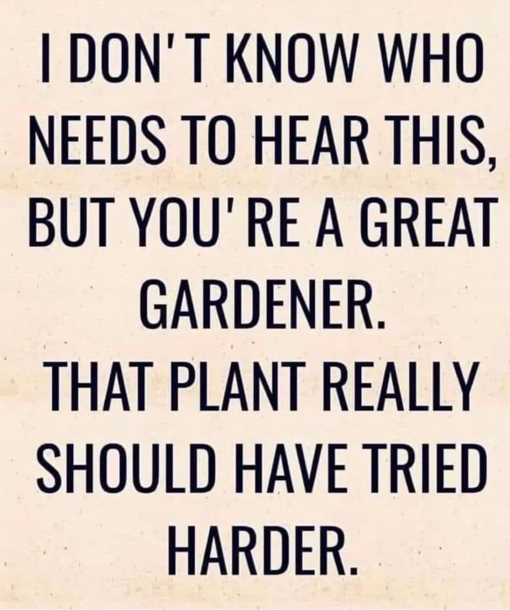 AGREE!! Lol! In all honesty, the best gardeners have lost a lot of plants, it is how we learn what does and doesn't work!⁠
⁠
gardencrossings.com
(616) 875-6355 · sales@gardencrossings.com
