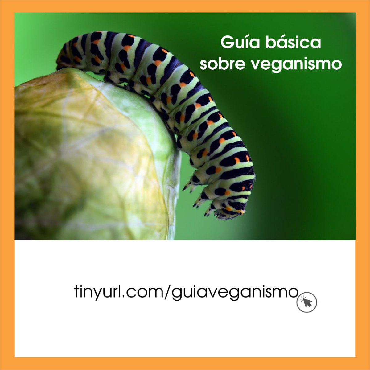 Archivo para compartir digital o impreso.
Guía básica sobre veganismo:
tinyurl.com/guiaveganismo