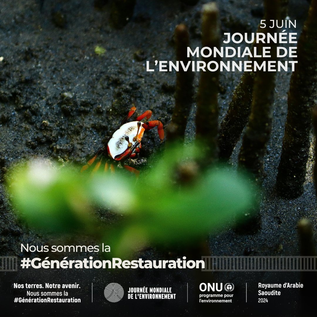 World Environment Day 2024 is a reminder that we all can step up to spark global change to address environmental degradation.

And, we can inspire change through social media...of course! Join the #Generationrestoration movement🌱

 Planète durable pour tous! #HumanityForTheWorld