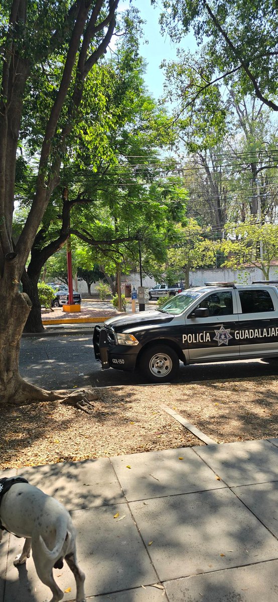 chuycastro's tweet photo. Alguien sabe porque hay un picnic de policías todos los días en el parque de las estrellas?, hay por lo menos 20  patrullas, 4 motos y 3 bicicletas @Trafico_ZMG @ZapopanGob @GuadalajaraGob https://t.co/dVfHrmjtSa