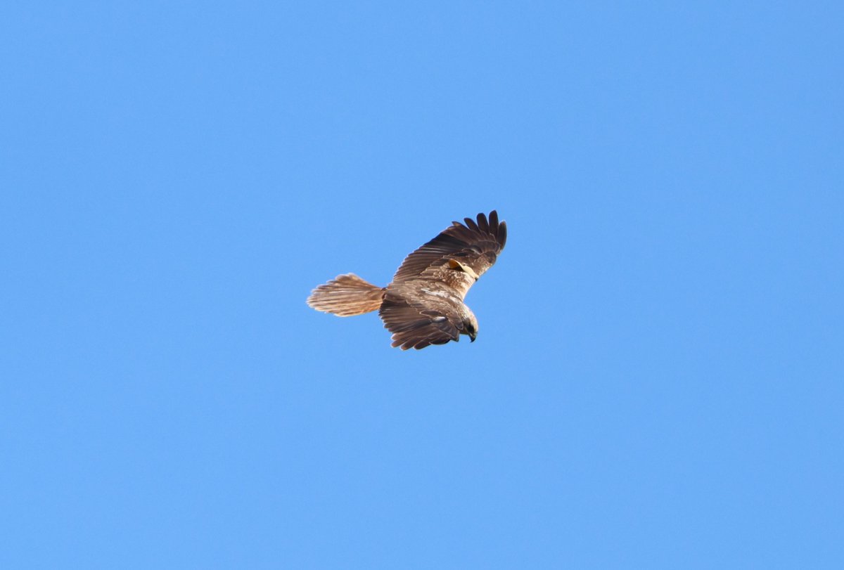 Simon Pinder tweet media