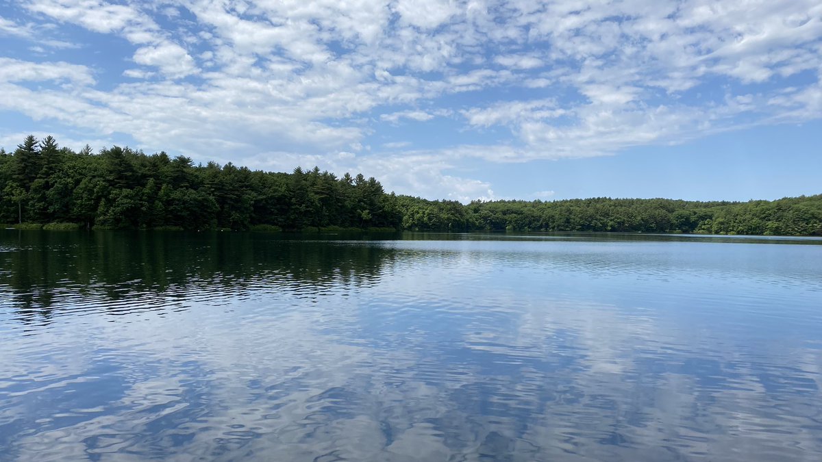 Dr. Laura Smith tweet media