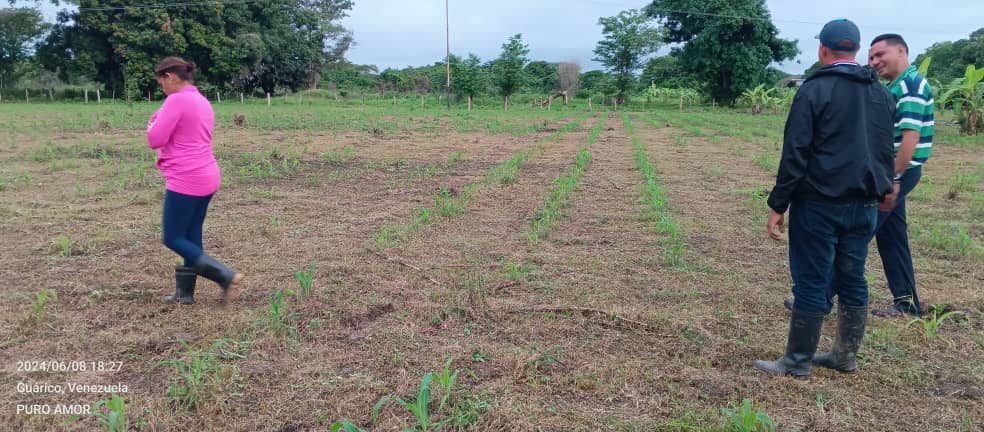Con la masificación de la Producción Popular le damos la estocada mortal a las pretensiones de dominación del capitalismo salvaje.

Producir es Vencer 🔴⚫🇻🇪💪

#1x10VictoriaPerfecta
<a href="/NicolasMaduro/">Nicolás Maduro</a>
Área Productiva de <a href="/MrtGuayabal/">X Oficial MRT Guayabal</a> en desarrollo 👇👇