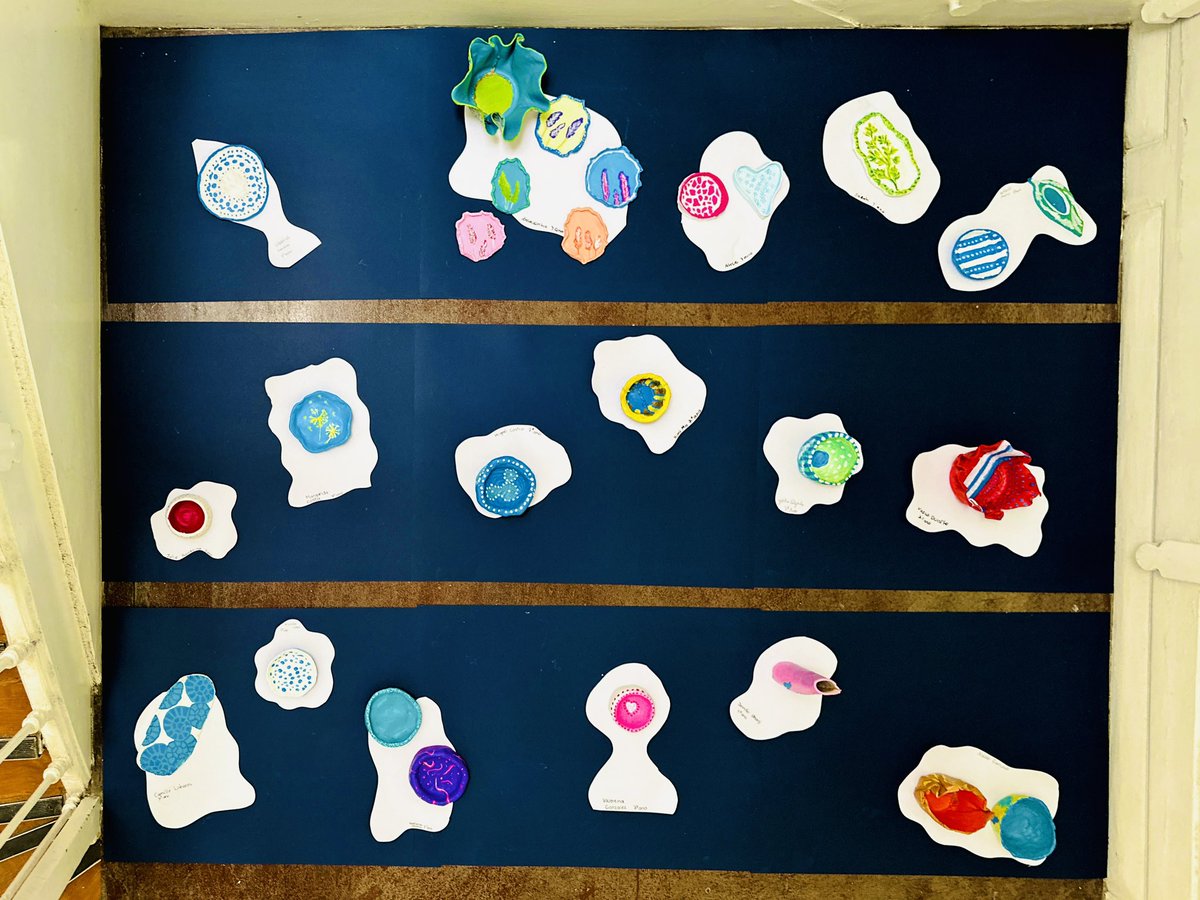 StJuliansPT's tweet image. 7° students in Educação Tecnológica.

#StJuliansLisbon 
#TheJoyOfLearning
#StJuliansBilingualCurriculum