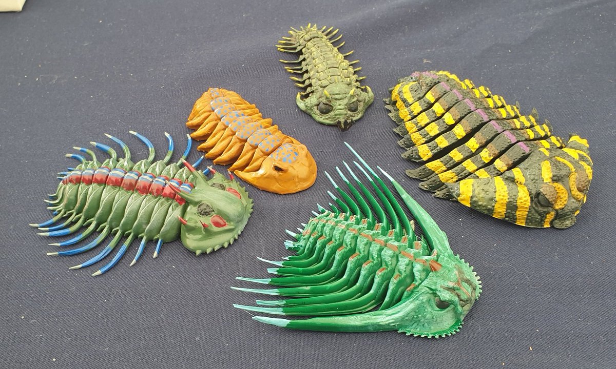 TetZoo's tweet image. Check out these brilliant painted, 3D-printed #trilobites on show at the @ThePalAss stall at #LymeRegis #FossilFestival