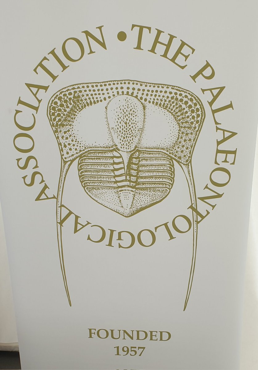 TetZoo's tweet image. Check out these brilliant painted, 3D-printed #trilobites on show at the @ThePalAss stall at #LymeRegis #FossilFestival