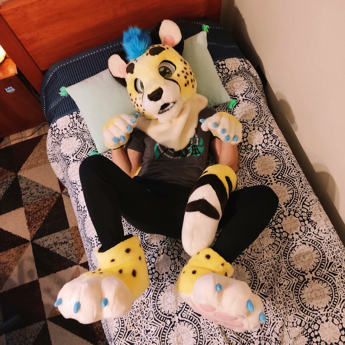 EvanBlessedChee's tweet image. Mraw? Purr purr 💙
#furry #furryoc #fursona #fursuit #fursuiter #fursuiting #fursuiteveryday #furrycommunity #furrychile #cheetah
