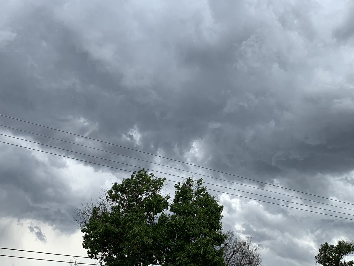 CrystalAnd22350's tweet image. #cowx