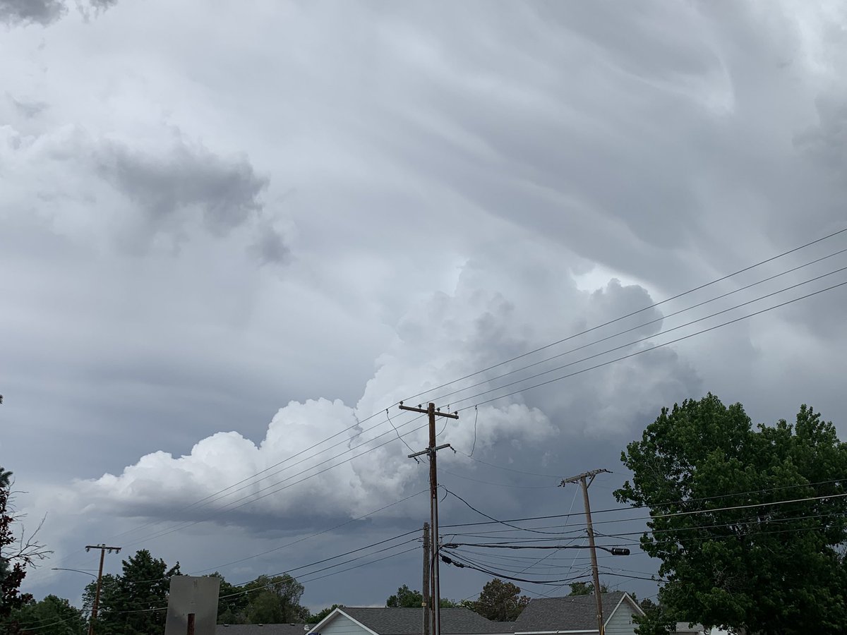 CrystalAnd22350's tweet image. #cowx