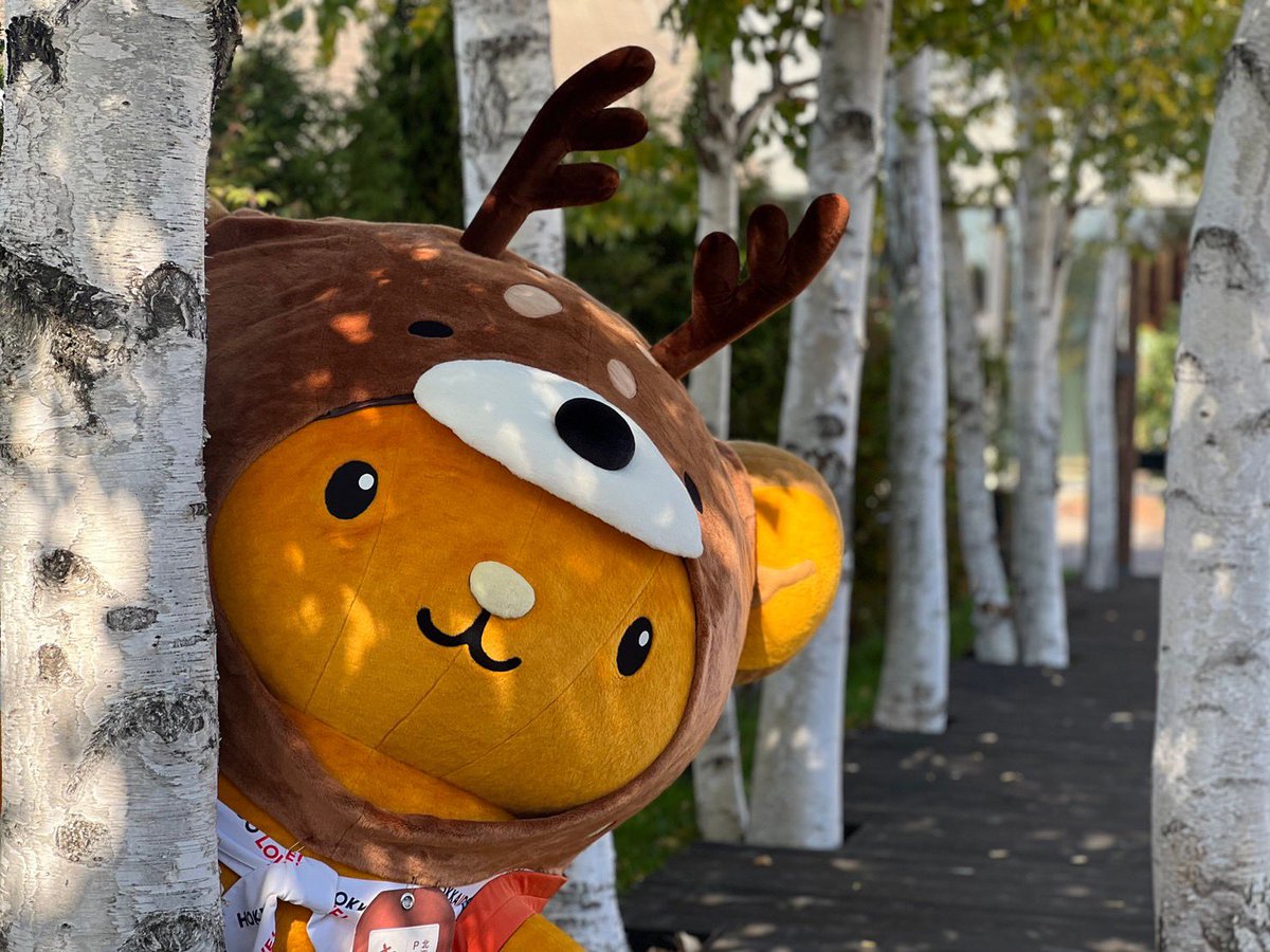 キュッ✨ おはキュン✨ #キュンちゃんXフォロワー10万人への道