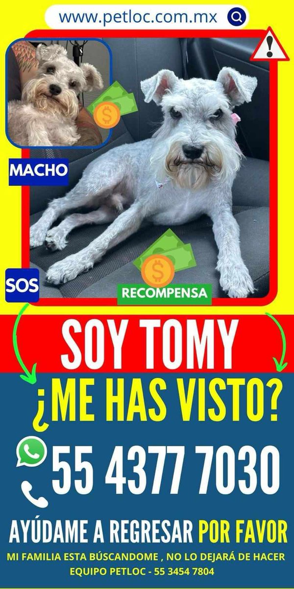 Amigos, nos apoyan difusión por favor 🙏🏻🙏🏻🙏🏻
