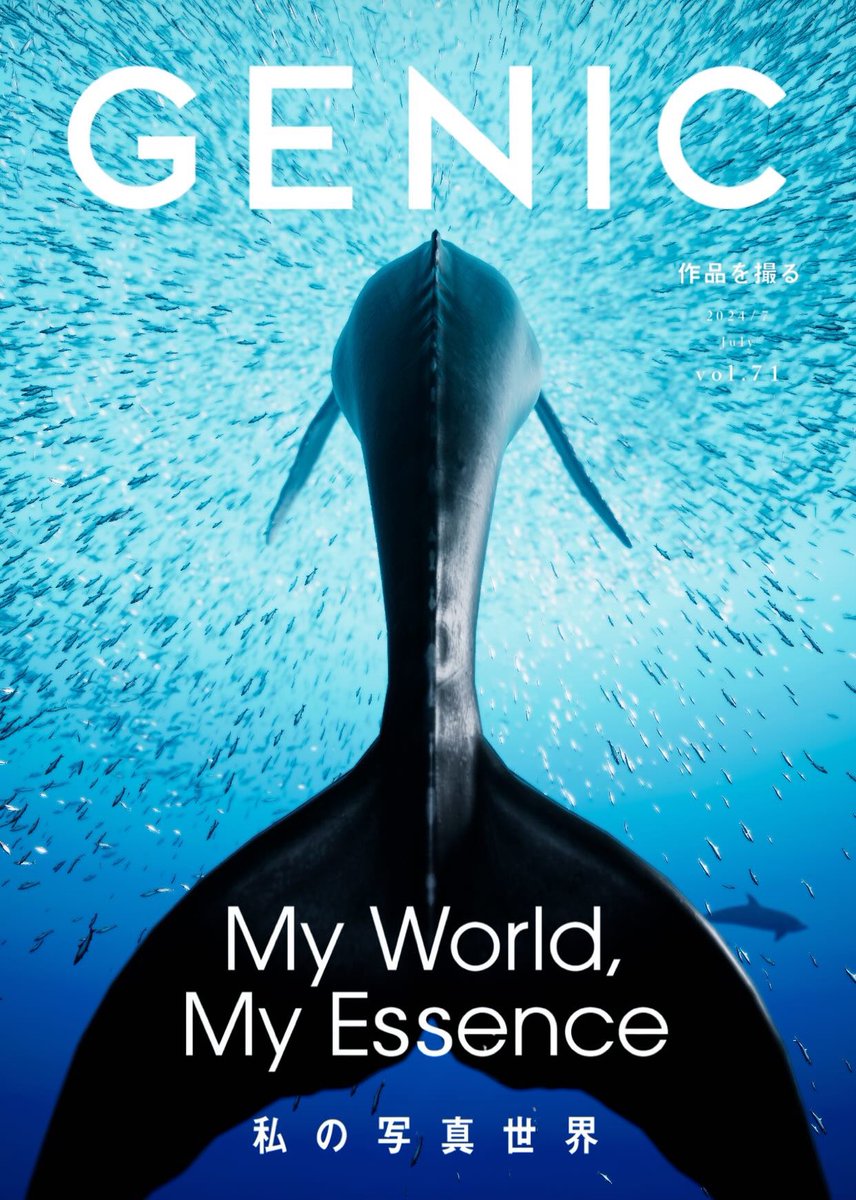 Kemo ／Virtual Photographer tweet media