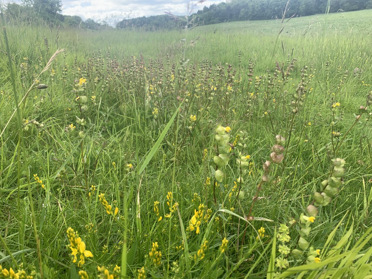 Dan Tuson tweet media