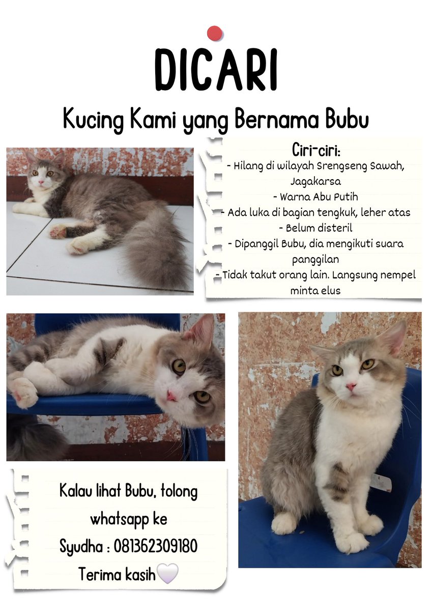SyudhaP's tweet photo. @kochengfs 😭🙏🏻 https://t.co/2b2ErUufad