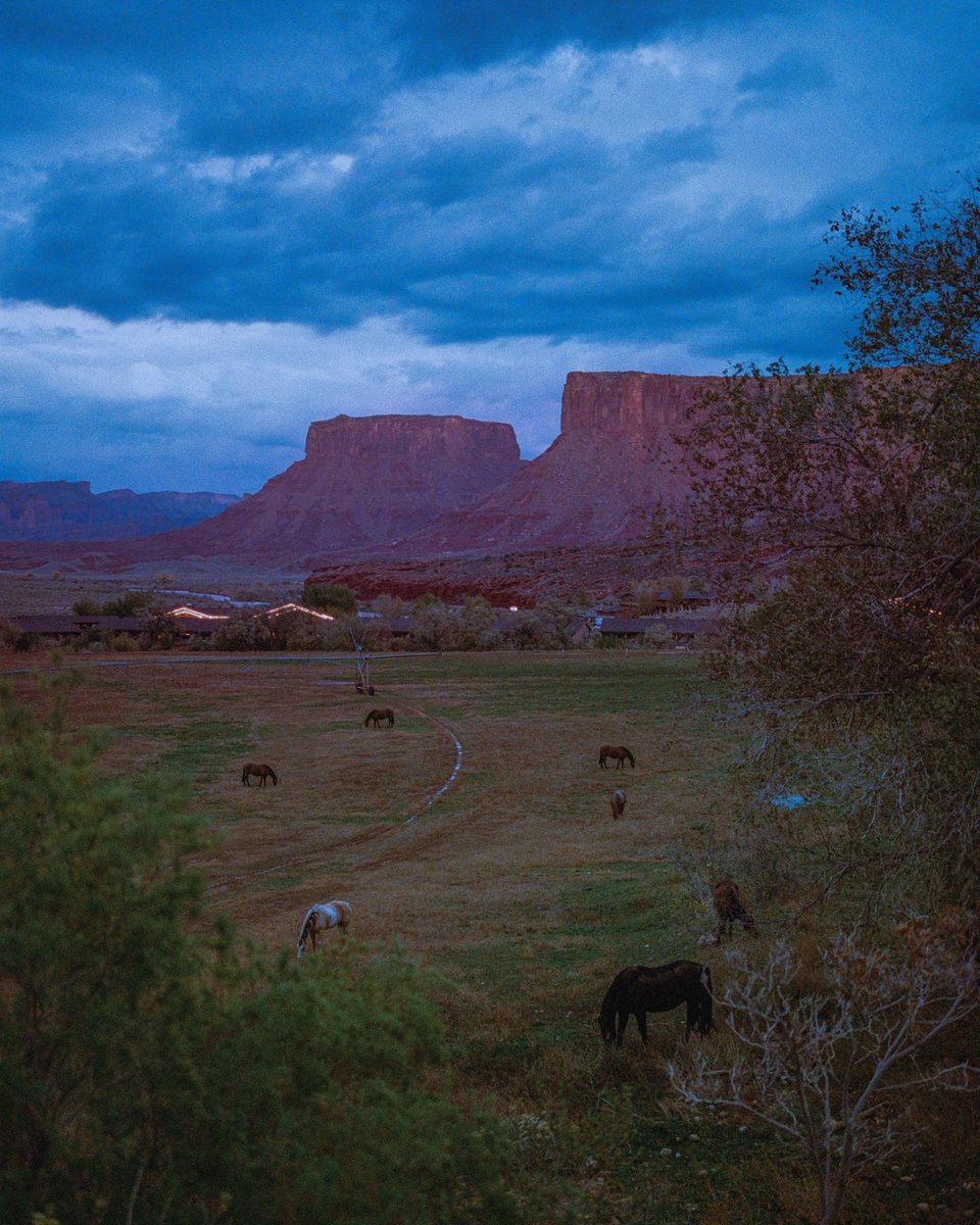 Eamon 🌃 tweet media