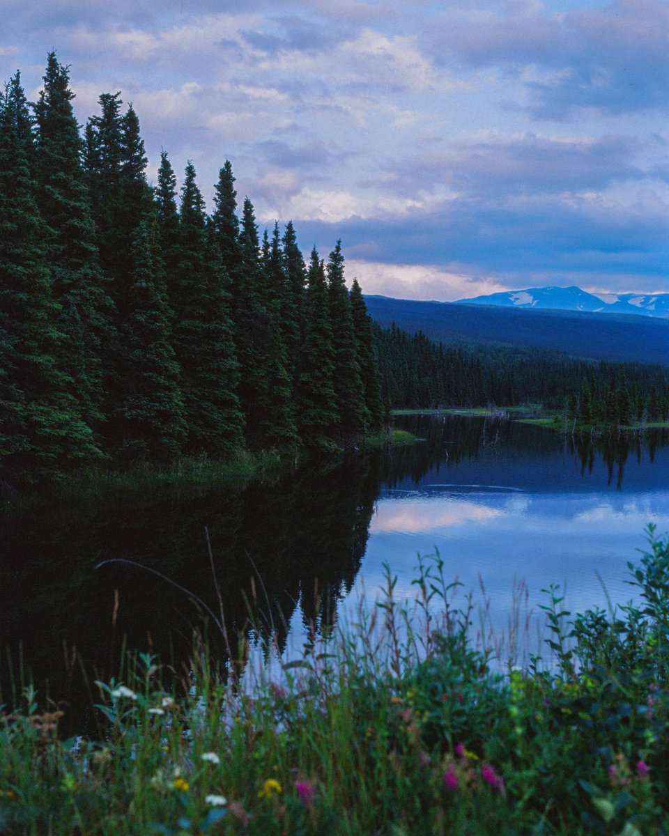 Eamon 🌃 tweet media