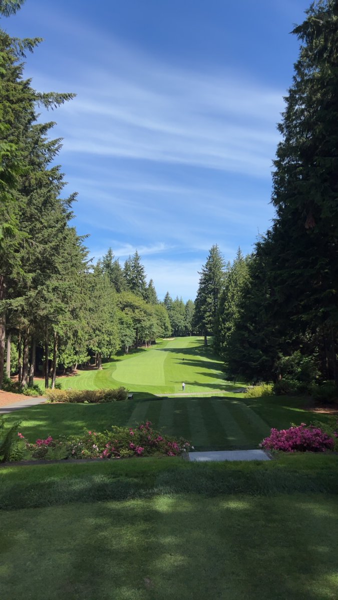 Will Ferrari tweet media