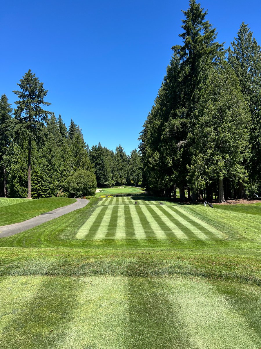 Will Ferrari tweet media