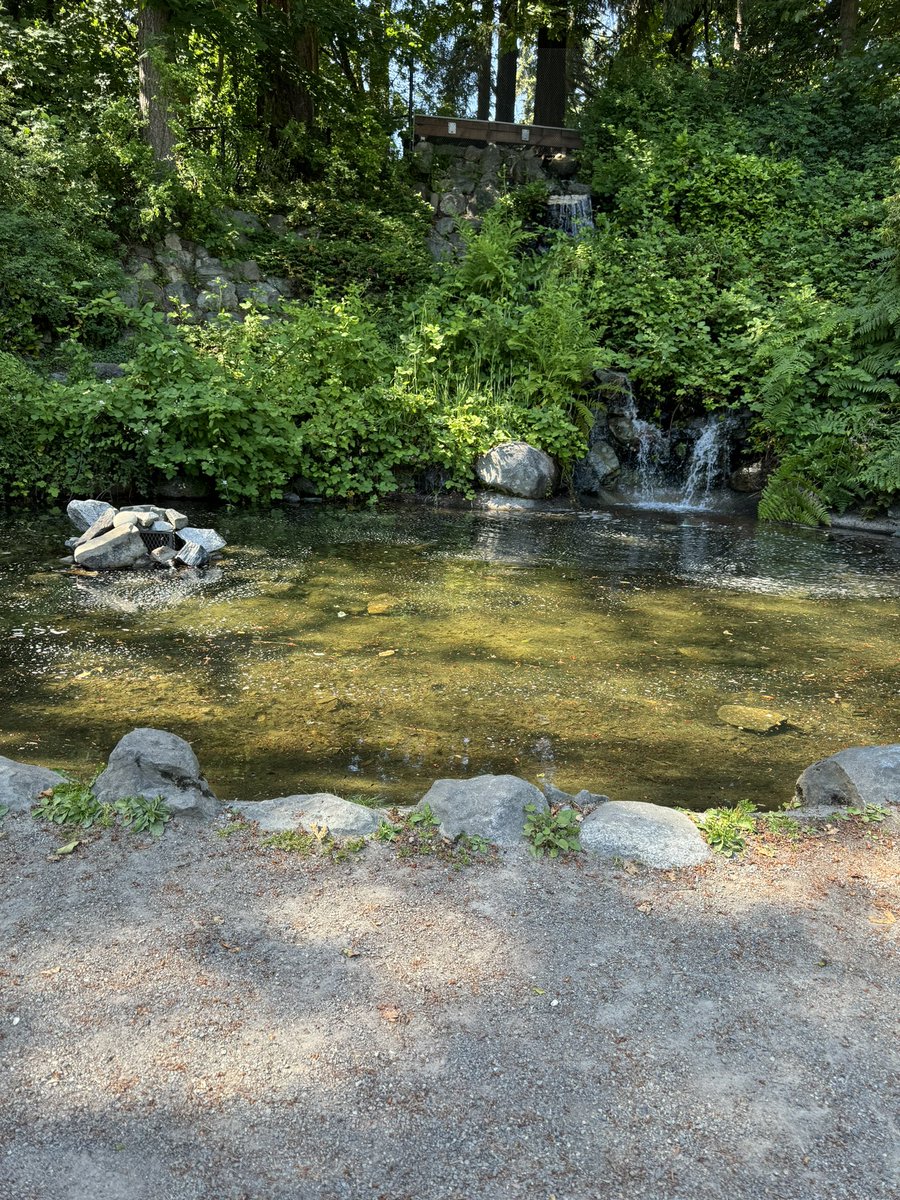 Lefthanded_Hero's tweet photo. The lake is busy but the back trails are nice :) think this bench is having a bad day. #shroomdrop253 #shroomdrop https://t.co/q2SZJjYDkT