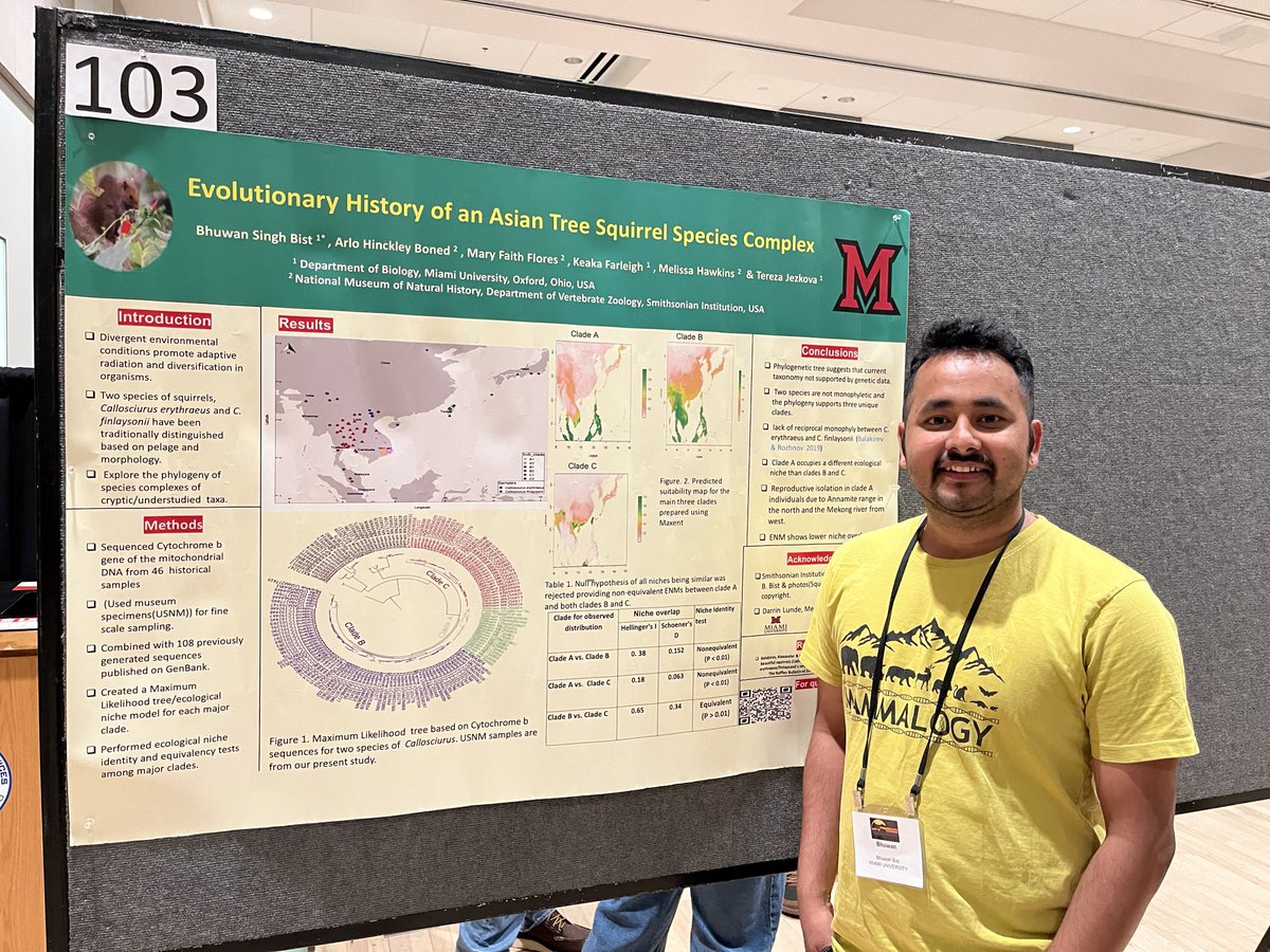 <a href="/heru_hdk/">Hҽɾυ Hαɳԃιƙα🦦</a> @MammalMeetings @science_action Bhuwan estimated the mtDNA phylogeny of 2 SE Asian squirrel species complex (variable &amp; Pallas’s squirrel) and found they formed 3 clades and are paraphyletic.

Niche modeling revealed that the clades have minimal overlaps in ecological space, supporting taxonomic differences.
