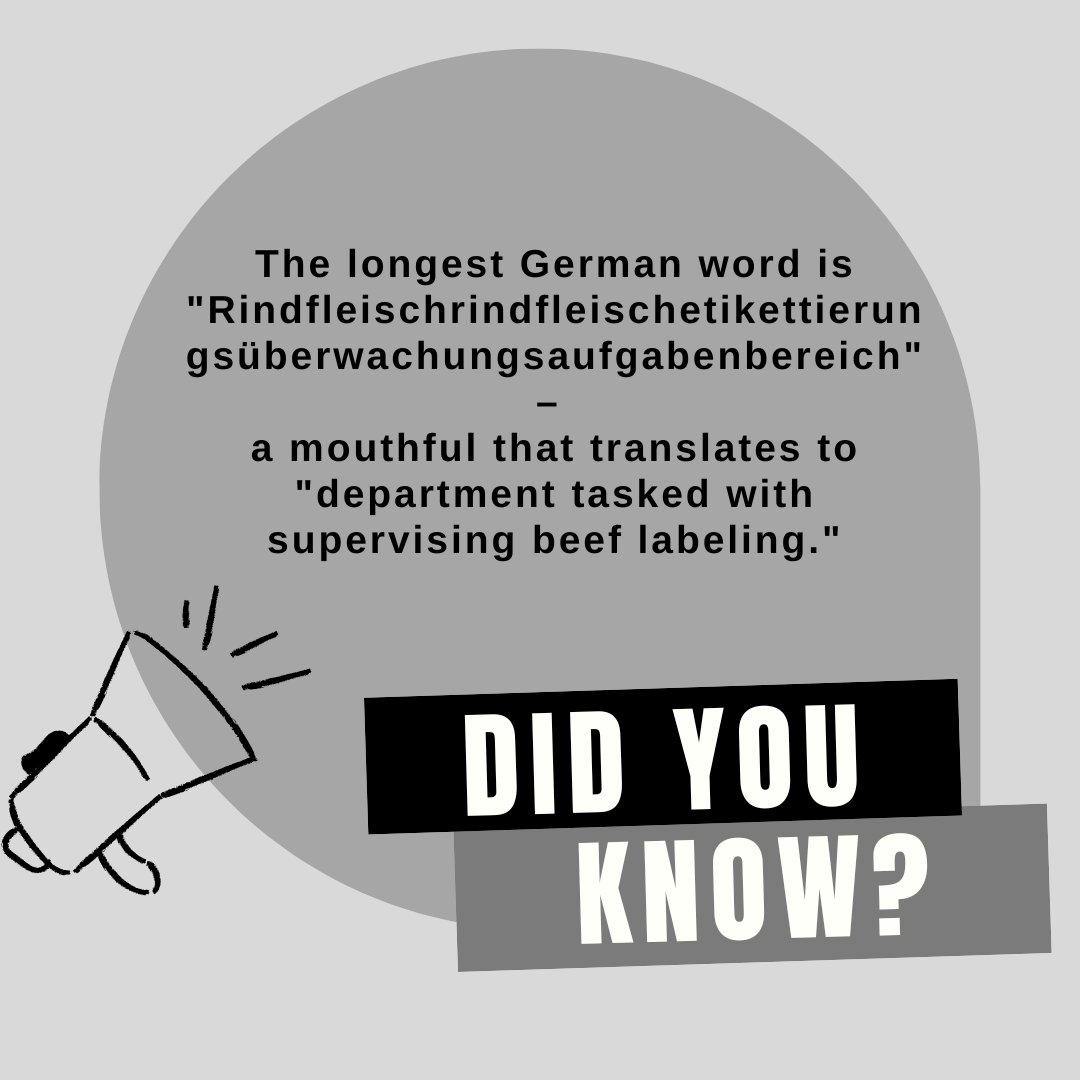SanifuCentre's tweet image. Fun German Facts! Longest word = department overseeing beef labeling! 100+ dialects, love compound words (cell phone addiction = Handysucht!) #GermanIsFun ➡️ Can you guess the meaning of &quot;Fernsehen&quot;? (Hint: It&apos;s related to seeing!)
#sanifucentre #learngerman
