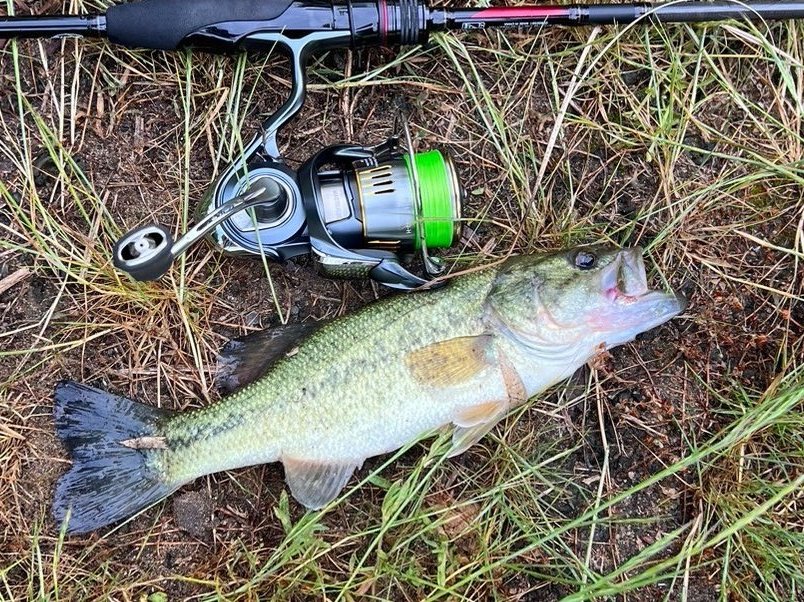 takonashiyaki1's tweet image. #AIRITY
#ブラックバス