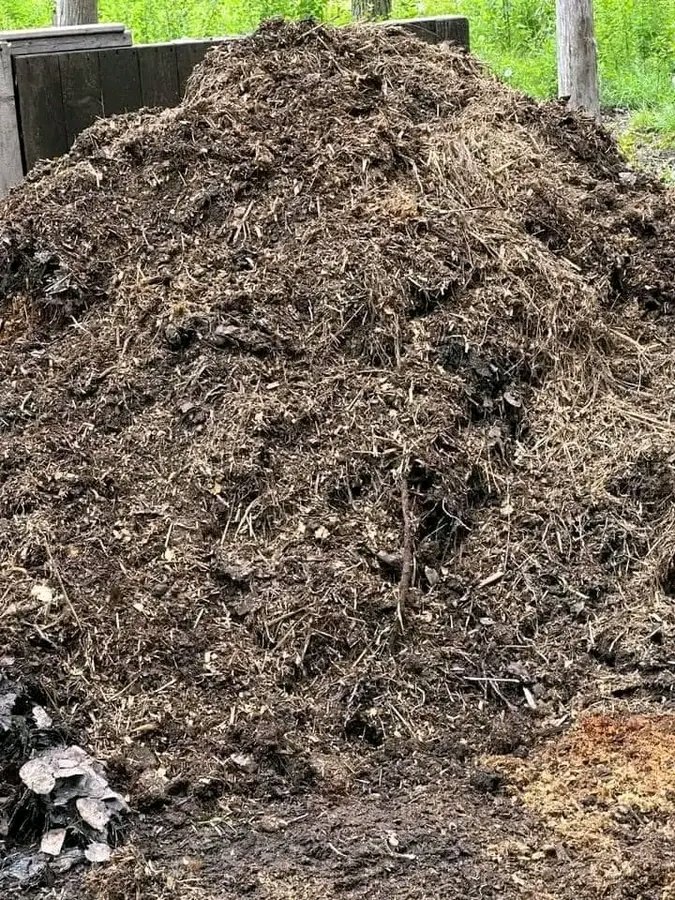 MWISENEZAF59205's tweet image. Using chicken manure in farming is an excellent way to improve soil health and provide essential nutrients to plants. By properly aging or composting the manure and applying it in moderation, you can create a healthy and productive growing environment for your crops.
#TakeNotes