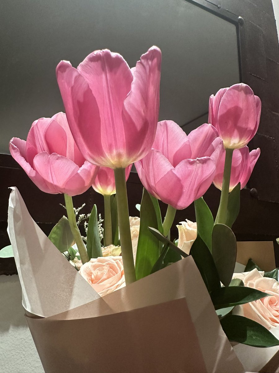 lananissss's tweet photo. Pink tulips💕 https://t.co/toYSEIZ4c9