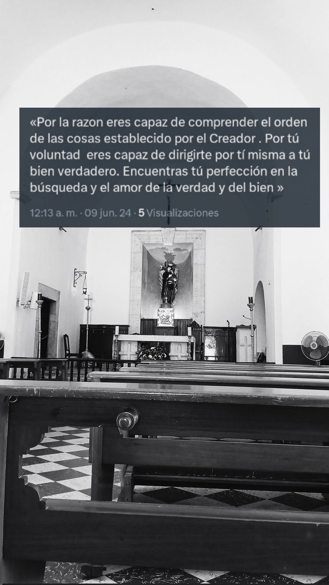 SoyAlberto18's tweet photo. 🌿💚 https://t.co/0zMPq0H8sg