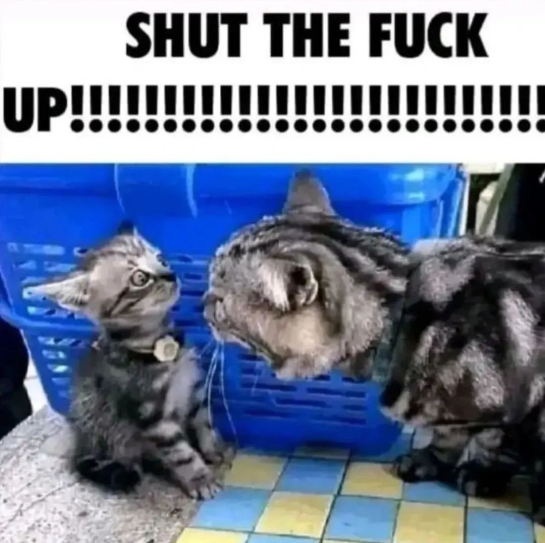 FluidPhantom tweet media