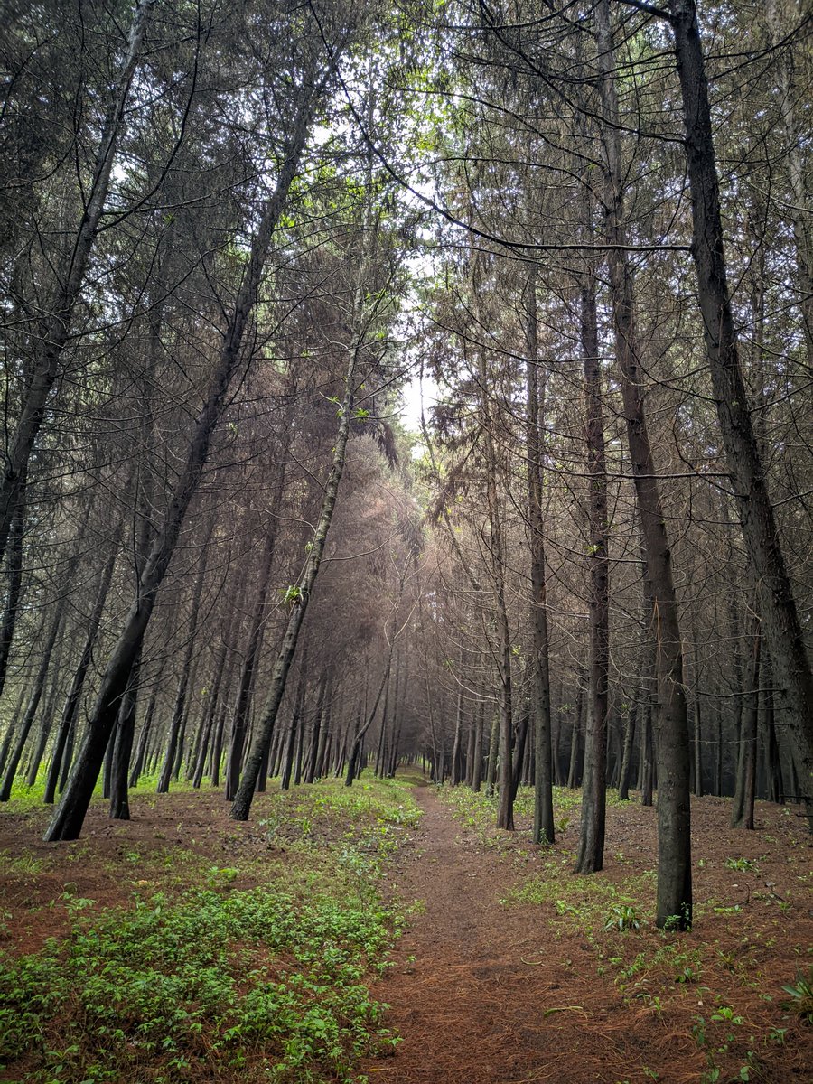 Ivanchoos's tweet photo. Caminata del fin de semana. 😮‍💨 https://t.co/hcSjkVs1iq