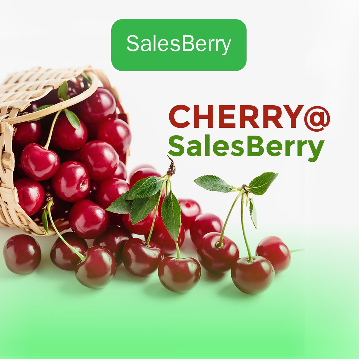 Cherry at Sales Berry! 🍒✨ Experience the burst of juicy sweetness and cherrylicious delight exclusively at Sales Berry. Available at Chakrapath (QVC Building), Maharajgunj, Battisputali &amp; Satdobato.

#CherryAtSalesBerry #SweetSensation #Salesberry