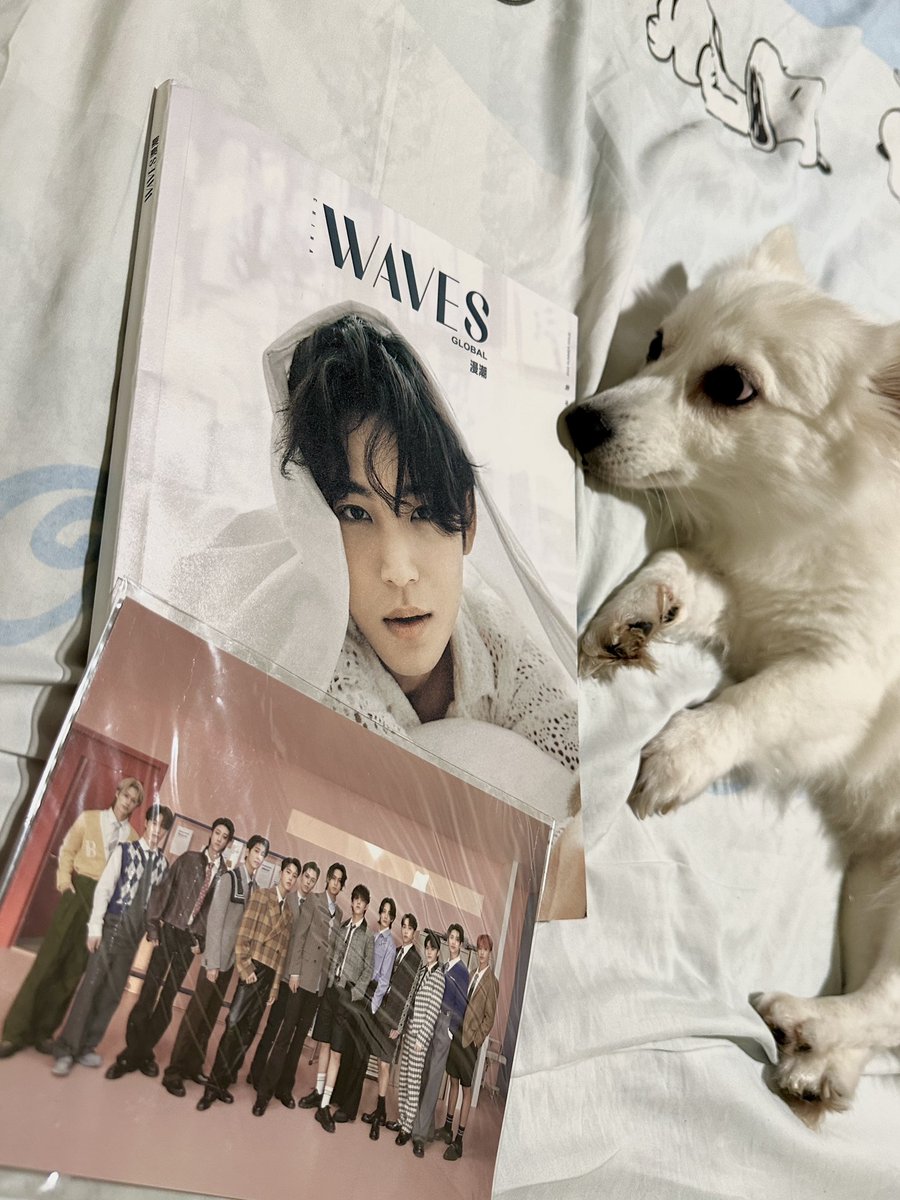 pawtatoboo's tweet photo. mingyu waves magazine arrived safely ✨🫶🏻 

thank you @deekaaaayy &amp; @wtbhyunjin 
🐾🖤 https://t.co/DRmv4xbv8Z