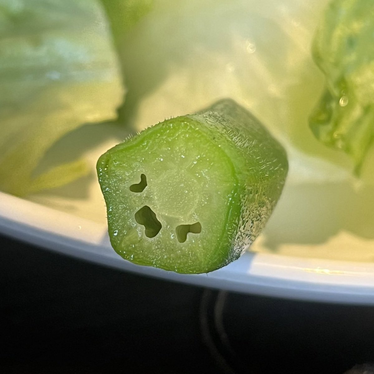 kittennuay's tweet image. 