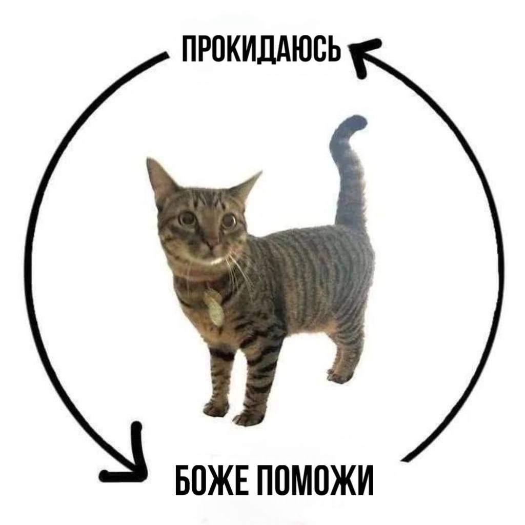 Johnny Talk (@johnnytalktoyou) on Twitter photo 