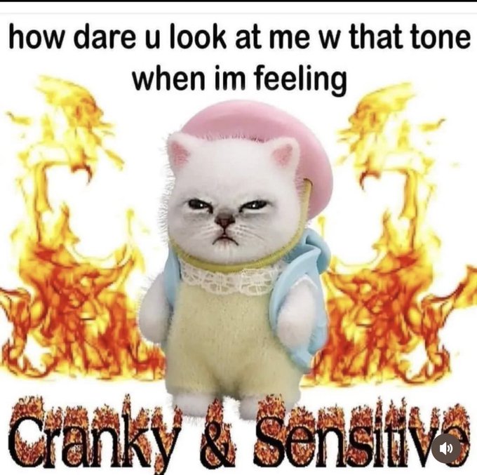 the luteal phase of my cycle is fucking wild  why do i look like that idek who that is in the mirror why
