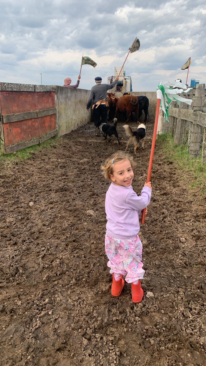 gomes_d1's tweet photo. Cosas que da el campo… no el campo como empresa, sino el campo como forma de vida.
Acá mi mayor emprendimiento!
Que nunca se pierda! https://t.co/qcLNcAjThP