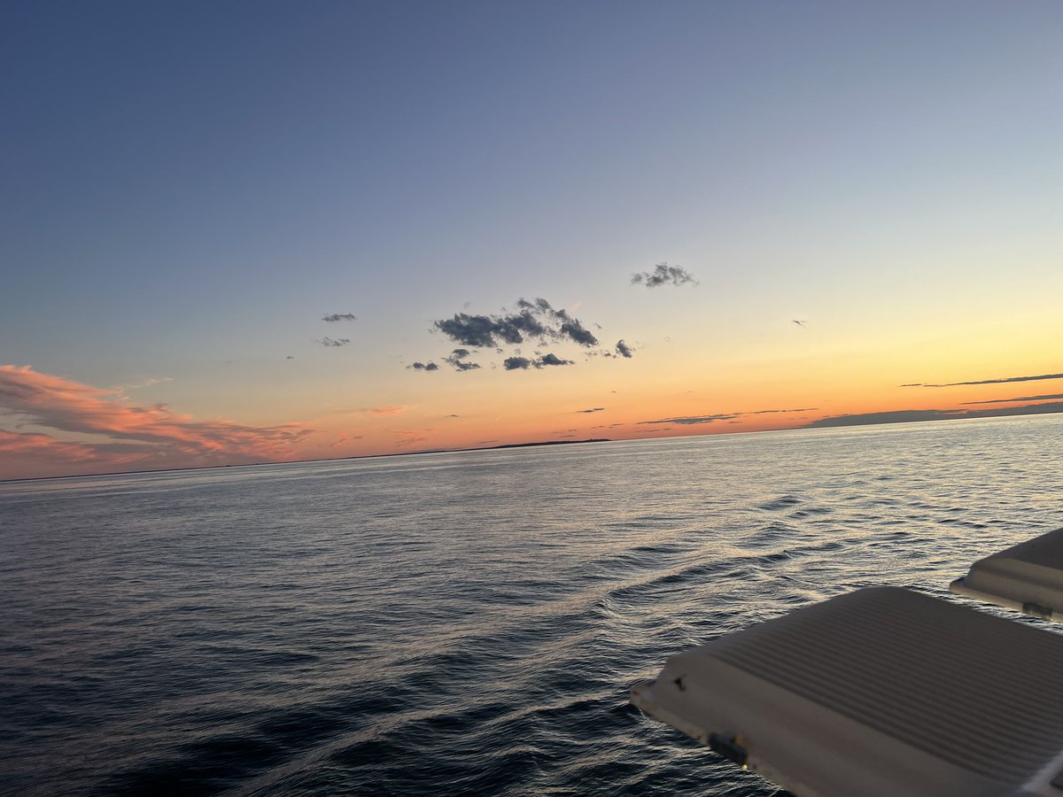 RAGEMUCH_'s tweet photo. @Syndicate would you just look at that view!! https://t.co/M2dkz2bzmu