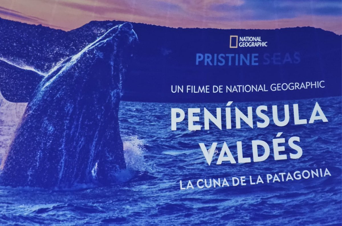 MinTuryAP's tweet photo. En el marco del Día Mundial de los Oceanos, el @MinTuryAP estuvo presente este domingo en el Planetario en la presentación del documental de NatGeo "Península Valdés, la cuna de la Patagonia" https://t.co/7ZD6HSNreb