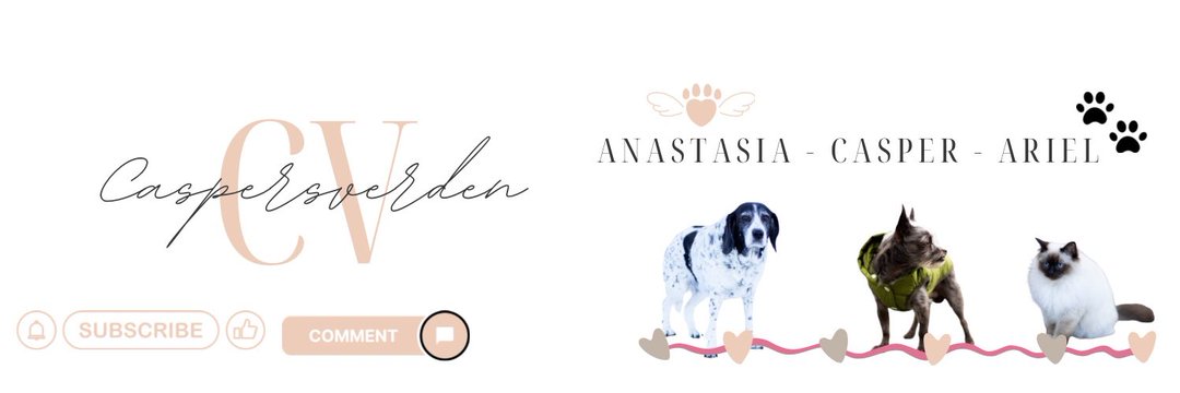 New front page picture 📷💻 
 - What do you think? 🌸  

#Webdesign #Design #graphicdesign #photography #photo #photographers #HTML #Canva #lightroom #Animals #pets