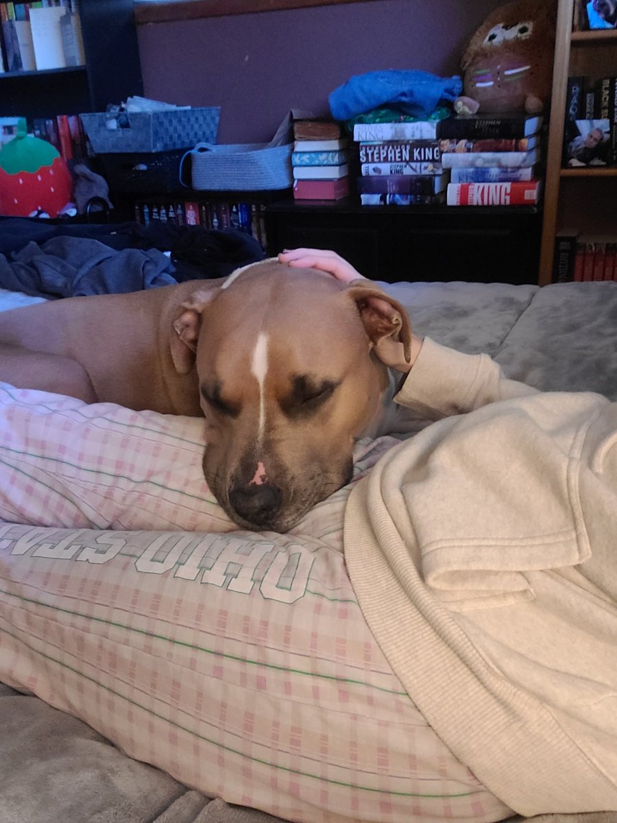 Hannah Fradd BSN, RN tweet media