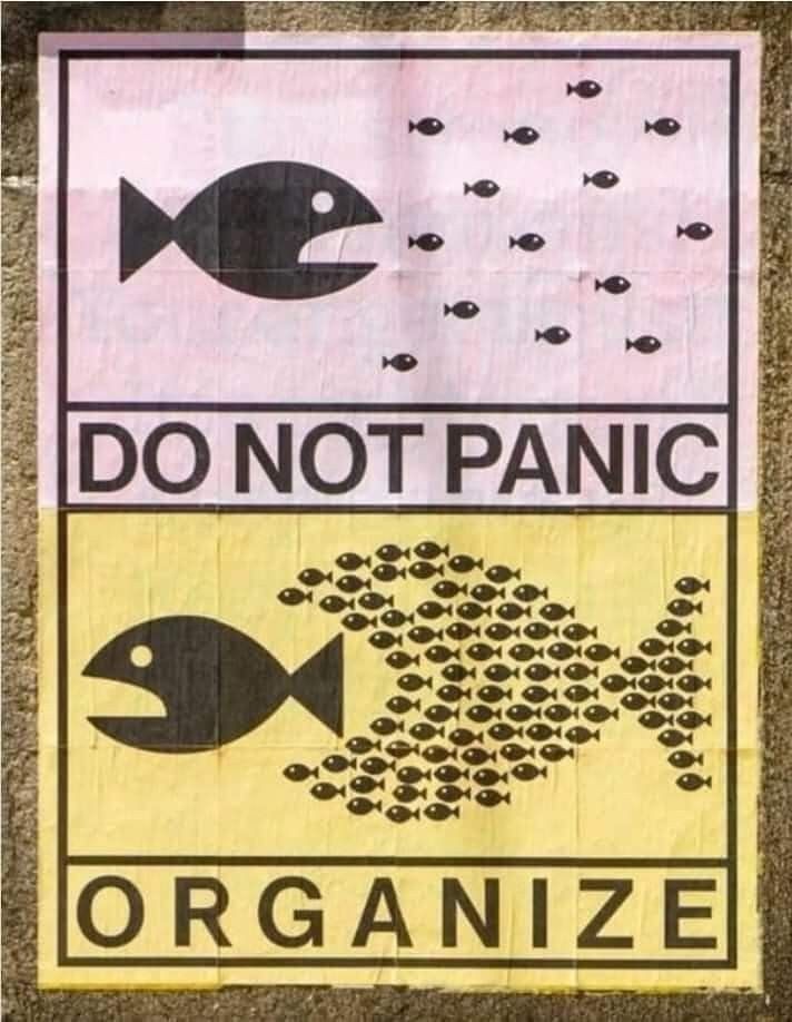 natalyvidal's tweet photo. https://t.co/vnho2cxPl1