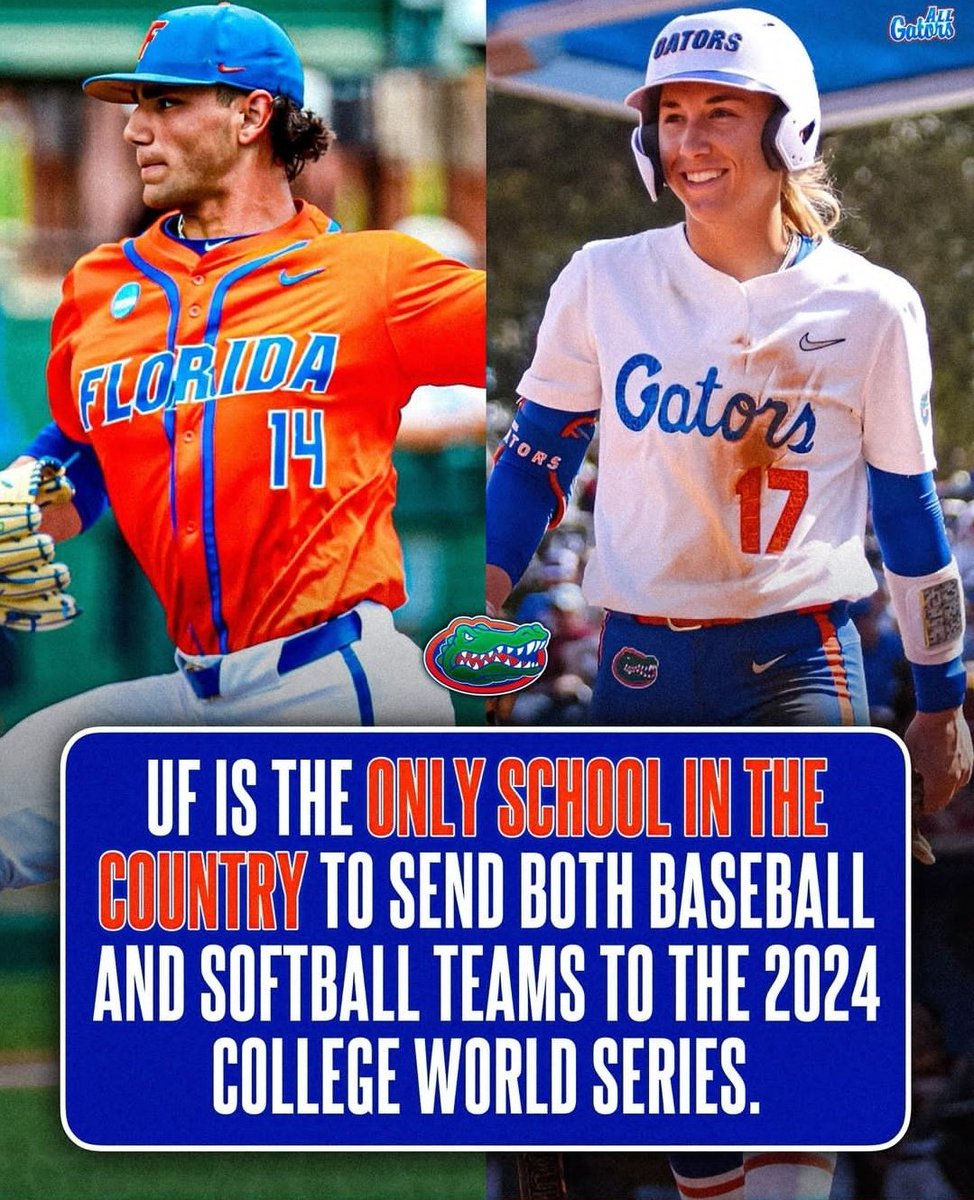 THE EVERYTHING SCHOOL 🐊