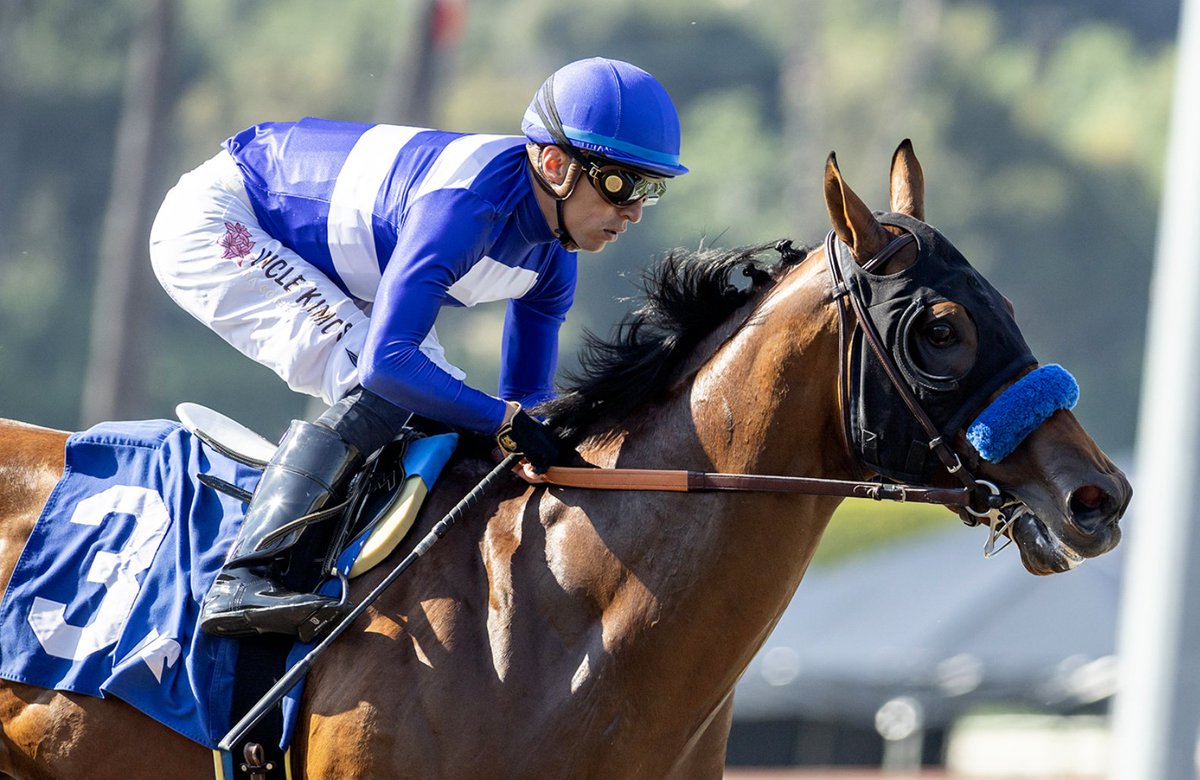 A 750k OBSAPR 2yo... our homebred and TDN Rising Star PARENTING (by Justify) "left the rest of the field at daycare and went to work" in winning the Affirmed Stakes by 7.5 widening lengths.  Three-quarter brother (Justify/Zero Tolerance) on deck!  <a href="/mickwallace/">Mick Wallace || Cryptorecovery specialist</a> <a href="/OBSSales/">OBSSales</a> <a href="/MwAdrian/">Adrian Wallace</a>