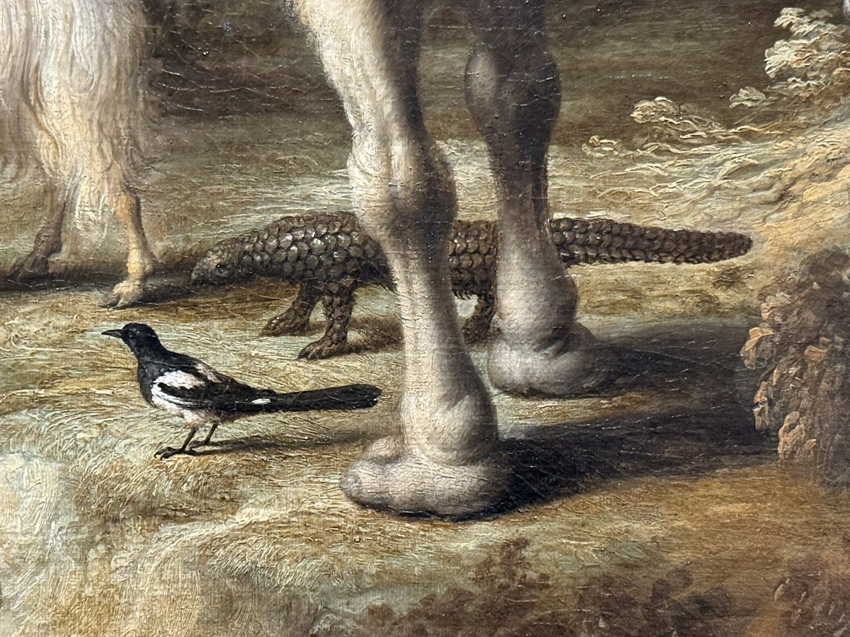 Art History Animalia tweet media