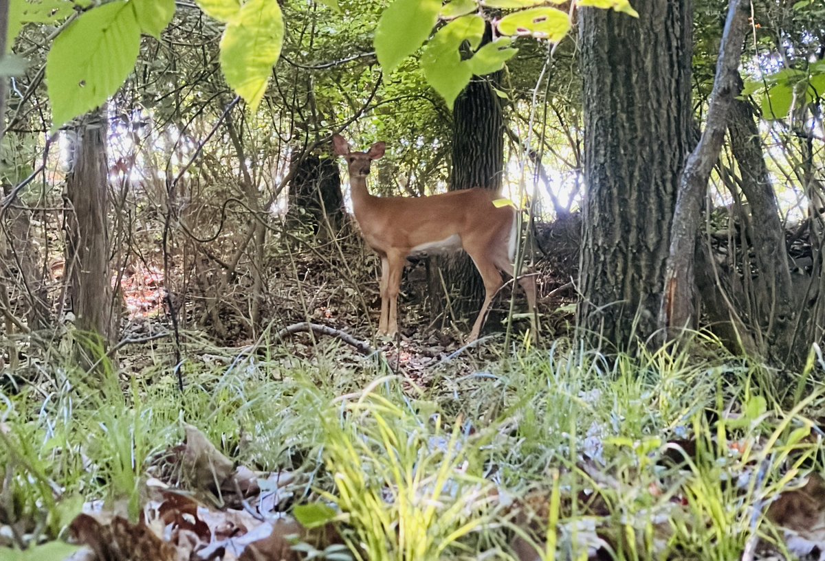 After multiple rejections and ND, it’s touching to hear Roger Federer’s Dartmouth commencement address “It’s only a point.”

home.dartmouth.edu/news/2024/06/2…