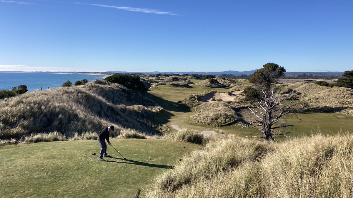 Tim Borren tweet media